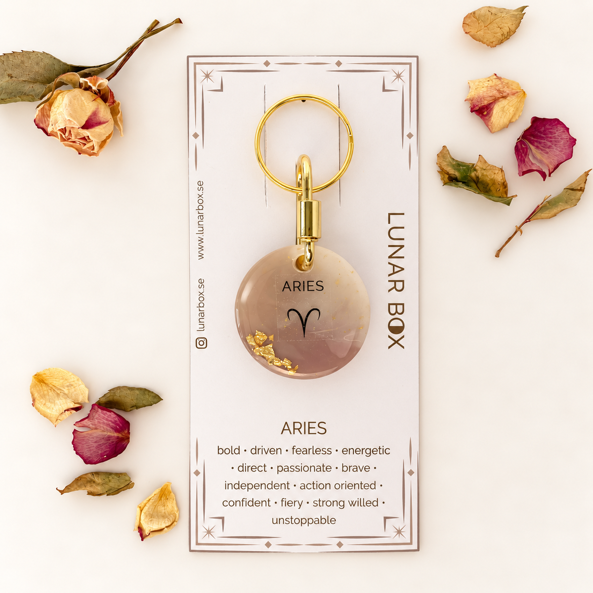 ARIES · Nº 01