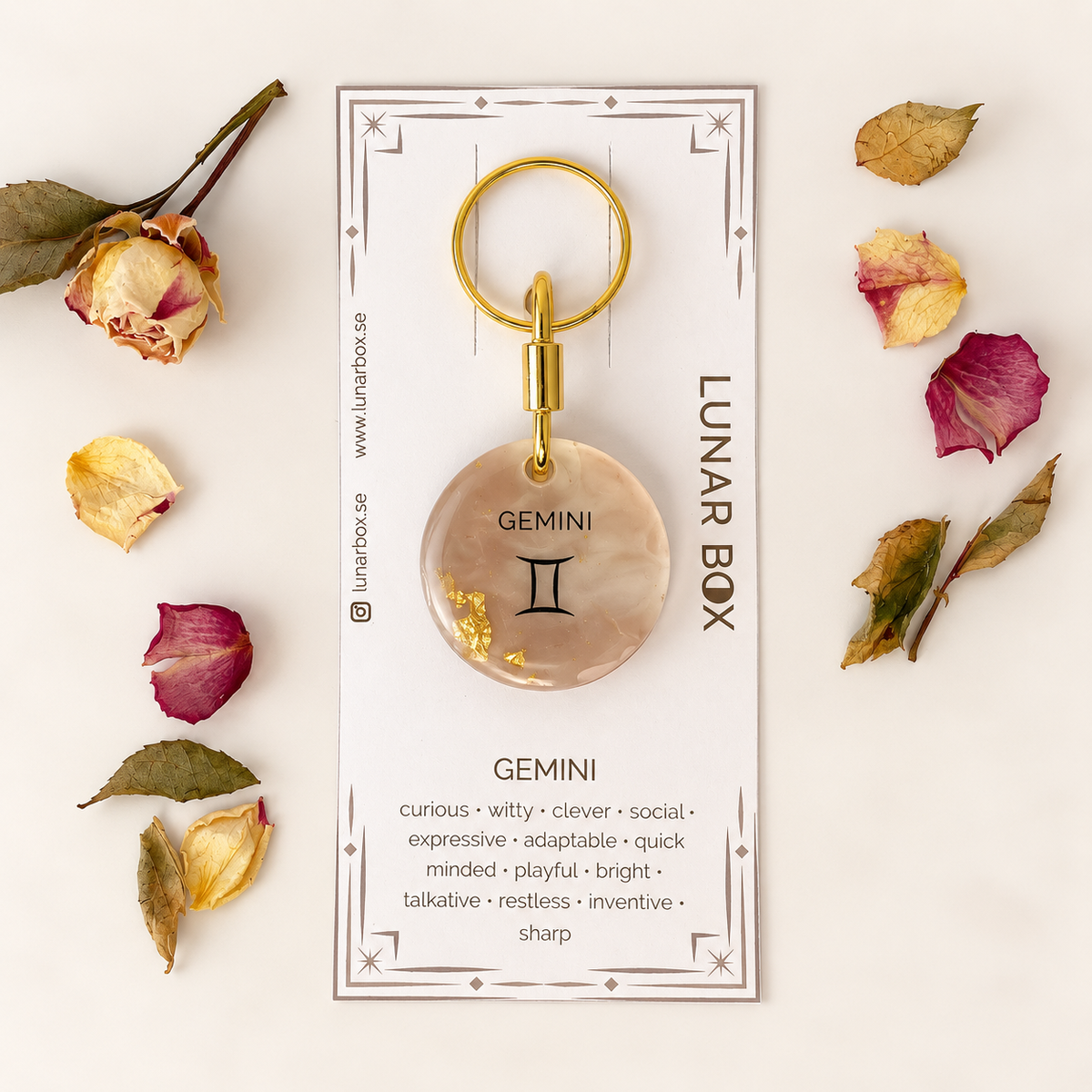 GEMINI · Nº 01
