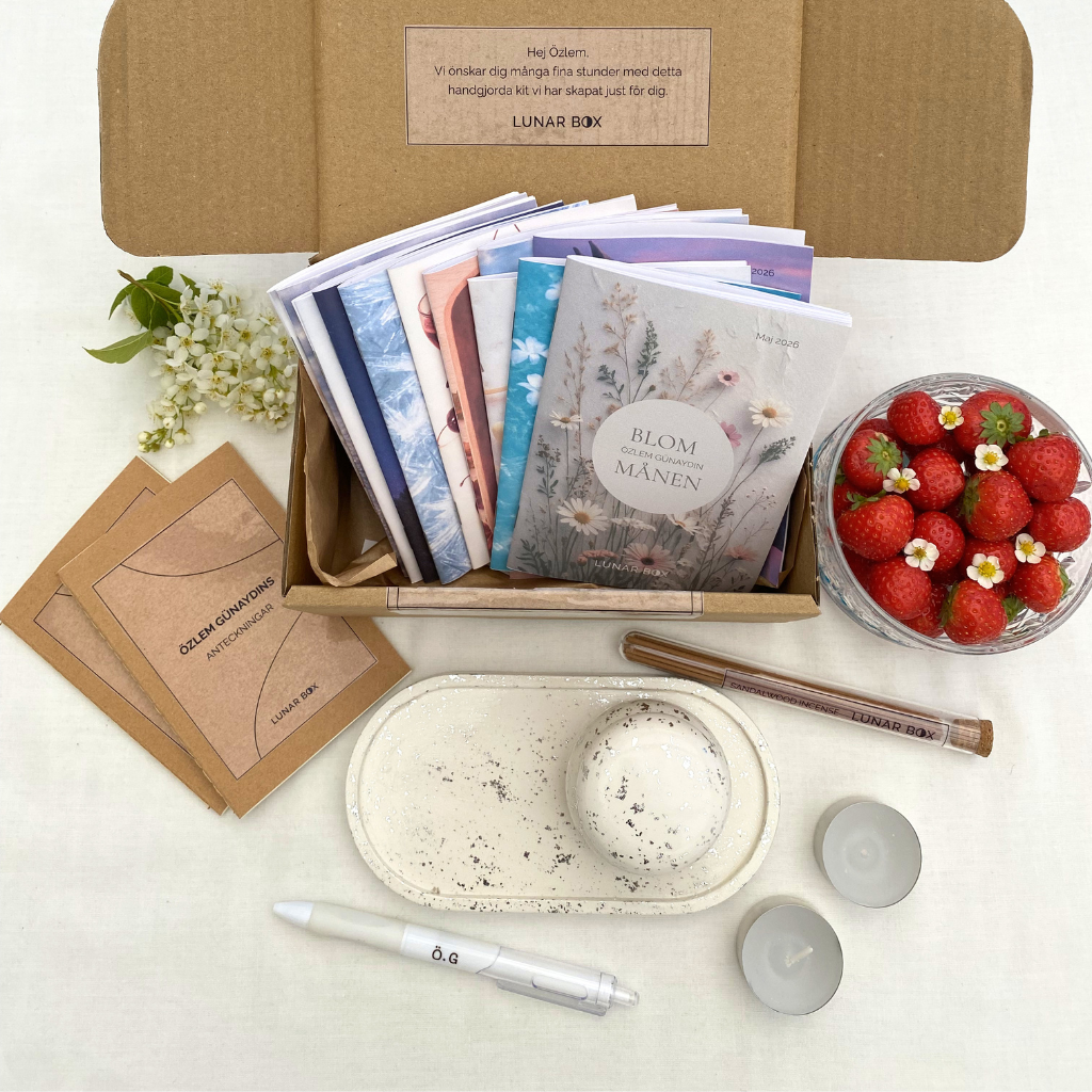 LUNAR BOX CLASSIC - SILVER