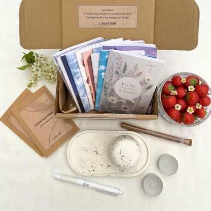 LUNAR BOX CLASSIC - SILVER