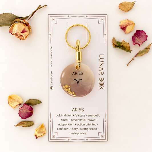 ARIES · Nº 01